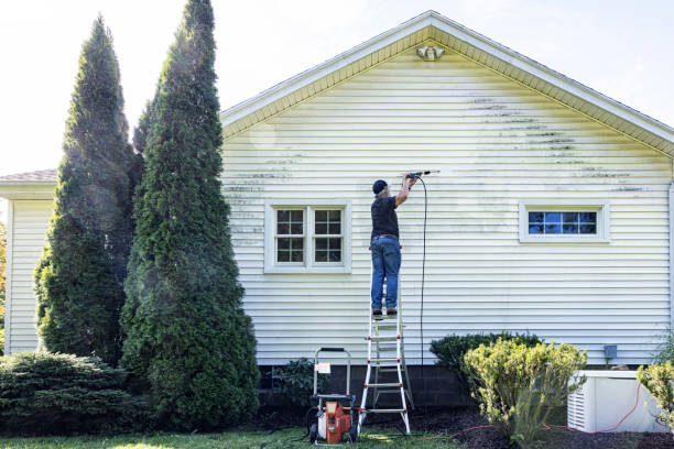 Best Roof Pressure Washing  in Jonesville, LA