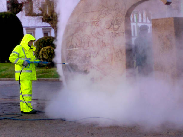 Best Pressure Washing Company Near Me  in Jonesville, LA